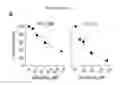 Fig. 03 - Quinazolinone-based oncogenic-RAS-selective lethal compounds and their use