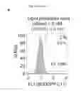 Fig. 19 - Quinazolinone-based oncogenic-RAS-selective lethal compounds and their use