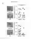 Fig. 28 - Quinazolinone-based oncogenic-RAS-selective lethal compounds and their use
