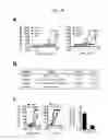 Fig. 49 - Quinazolinone-based oncogenic-RAS-selective lethal compounds and their use
