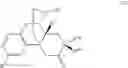 Fig. 28 - Substituted morphinans and the use thereof