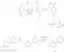 Fig. 49 - Heteroaromatic compounds and their use as dopamine D1 ligands
