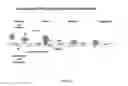 Fig. 02 - COMPOSITIONS AND METHODS FOR TREATMENT