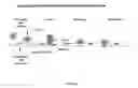 Fig. 02 - COMPOSITIONS AND METHODS FOR TREATMENT