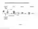 Fig. 02 - COMPOSITIONS AND METHODS FOR TREATMENT