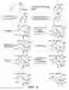 Fig. 08 - SYNTHESIS OF EPOTHILONES, INTERMEDIATES THERETO AND ANALOGUES THEREOF