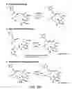 Fig. 12 - SYNTHESIS OF EPOTHILONES, INTERMEDIATES THERETO AND ANALOGUES THEREOF