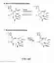 Fig. 13 - SYNTHESIS OF EPOTHILONES, INTERMEDIATES THERETO AND ANALOGUES THEREOF