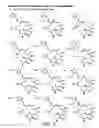 Fig. 15 - SYNTHESIS OF EPOTHILONES, INTERMEDIATES THERETO AND ANALOGUES THEREOF