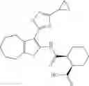 Fig. 294 - Bicyclic thiophenylamide compounds