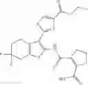Fig. 366 - Bicyclic thiophenylamide compounds