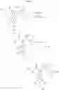Fig. 44 - Antifibrinolytic compounds