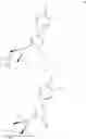 Fig. 06 - Substituted pyrazoles and uses thereof