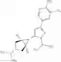 Fig. 437 - Substituted pyrazoles and uses thereof