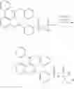 Fig. 14 - Phosphoramidic acid prodrugs of 5-[5-phenyl-4-(pyridin-2-ylmethylamino)quinazolin-2-yl] pyridine-3-sulfonamide