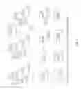 Fig. 02 - Oligosaccharide-protein conjugates