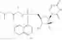 Fig. 151 - HCV polymerase inhibitors