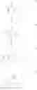 Fig. 178 - HCV polymerase inhibitors