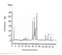 Fig. 07 - Method of purifying/concentrating sugar chains with a sugar chain-trapping molecule and method of analyzing sugar chain structure