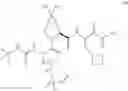 Fig. 358 - HCV protease inhibitors and uses thereof