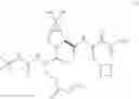 Fig. 359 - HCV protease inhibitors and uses thereof