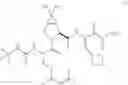 Fig. 360 - HCV protease inhibitors and uses thereof