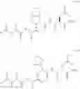 Fig. 397 - HCV protease inhibitors and uses thereof