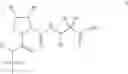 Fig. 443 - HCV protease inhibitors and uses thereof