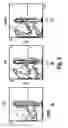 Fig. 07 - Controlled modulation of amino acid side chain length of peptide antigens