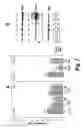 Fig. 08 - Controlled modulation of amino acid side chain length of peptide antigens