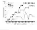 Fig. 06 - Peptides and use thereof
