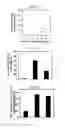 Fig. 05 - PEPTIDES DERIVED FROM HIV GP41 FOR TREATING T-CELL MEDIATED PATHOLOGIES