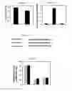 Fig. 06 - PEPTIDES DERIVED FROM HIV GP41 FOR TREATING T-CELL MEDIATED PATHOLOGIES