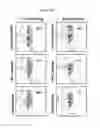 Fig. 08 - PEPTIDES DERIVED FROM HIV GP41 FOR TREATING T-CELL MEDIATED PATHOLOGIES