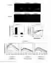 Fig. 10 - PEPTIDES DERIVED FROM HIV GP41 FOR TREATING T-CELL MEDIATED PATHOLOGIES