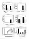 Fig. 11 - PEPTIDES DERIVED FROM HIV GP41 FOR TREATING T-CELL MEDIATED PATHOLOGIES