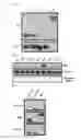 Fig. 03 - Peptide tag and uses thereof