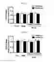 Fig. 03 - Composition for preventing or treating fracture or osteoporosis using slit-robo system