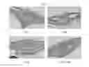 Fig. 14 - Composition for preventing or treating fracture or osteoporosis using slit-robo system