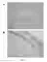 Fig. 04 - Humanized tau antibody