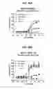 Fig. 49 - Deimmunized serum-binding domains and their use in extending serum half-life
