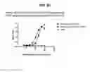 Fig. 53 - Deimmunized serum-binding domains and their use in extending serum half-life