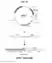 Fig. 54 - Deimmunized serum-binding domains and their use in extending serum half-life