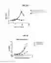 Fig. 57 - Deimmunized serum-binding domains and their use in extending serum half-life