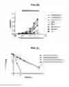 Fig. 60 - Deimmunized serum-binding domains and their use in extending serum half-life