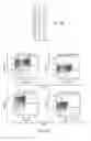 Fig. 15 - RECOMBINANT ANTIBODY COMPOSITIONS AND METHODS OF USE THEREOF