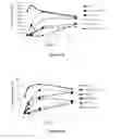 Fig. 07 - Humanized antibodies to cluster of differentiation 3 (CD3)