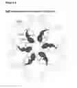 Fig. 02 - Dimeric protein with triple mutations