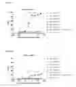 Fig. 08 - Dimeric protein with triple mutations