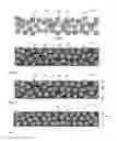 Fig. 03 - Premolding article from thermoset and thermoplastic polymer dispersions